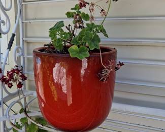 Red Ceramic Planter with Geraniums