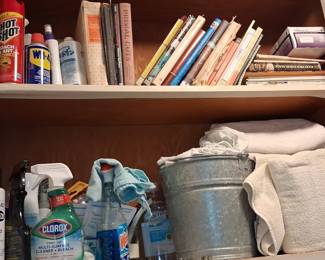Assorted Household Cleaning Supplies and Books