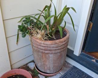 Terracotta Planter with Fluted Rim
