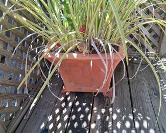 Terracotta Square Planter with Foliage