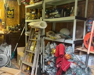 Find a treasure in our shed out back!
