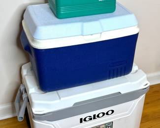 Lot of 3 Ice Chests - Igloo and Rubbermaid