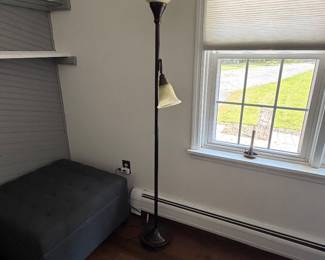 Combo Floor Lamp