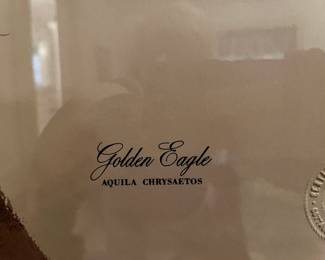 #61	Golden Eagle signed print by Tom Dunnington stamped 29x23"	 $100.00 