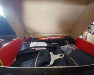 Racing harness 