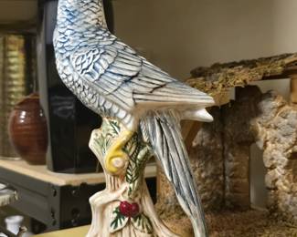 Holland Mold Parrot