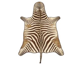 Zebra Hide Rug