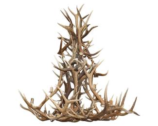 Elk Antler Chandelier (height 85 in. x width 75 in. x depth 80 in.)  - From the "Bob" Funk mansion in Oklahoma, City