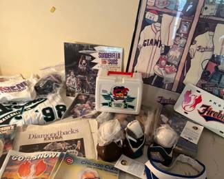 Suns, Diamondbacks, Firebirds, And More