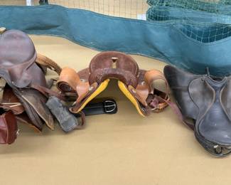 Assorted Horse Saddle / Equestrian Equipment Collection