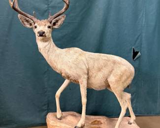  Decorative Deer / Stag Statue Sculpture
