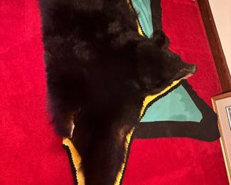 Large Bear Skin Rug - NC Wildlife Trophy Sale Permit Number - TSP27000071