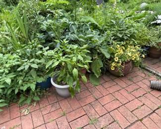 Underneath the Green are Pots