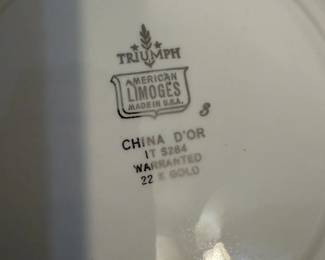Triumph American Limoges China Set