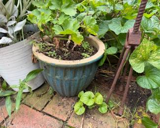 Underneath the Green are Pots