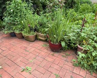 Underneath the Green are Pots