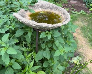 Birdbath