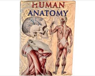 Human Anatomy - Published By TAJ Books International, 2007 – Oversize Book