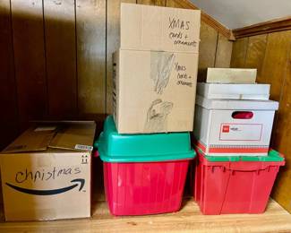141-BON: Christmas Mystery Lot