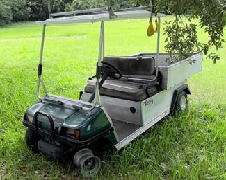 Turf 2 carry all golf cart