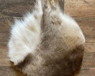 Animal Hide Rug