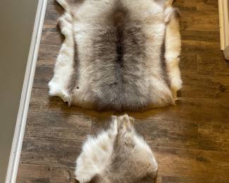 Animal Hide Rug