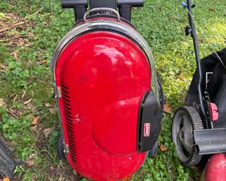 Coleman portable propane grill