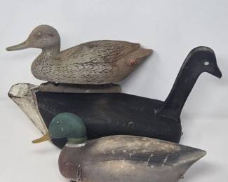 Decor Wood, Rubber Duck Decoys
