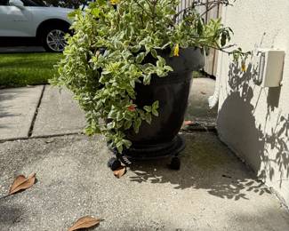 Multiple Flower Pots