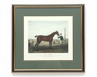 King Herod Horse Print