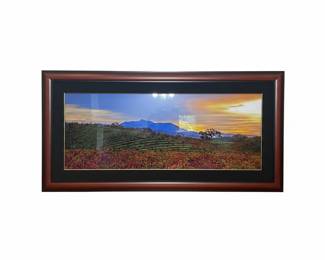 Panoramic Vineyard Landscape Framed Print, approx 5’x3’