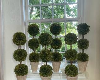 Boxwood Topiary Trees