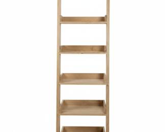 Ladder Bookshelf