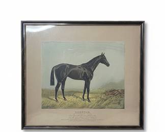 Sunstar by Sundridge Print, by J.F. Herring Sr.