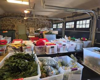 Huge Collection of Holiday Decorations