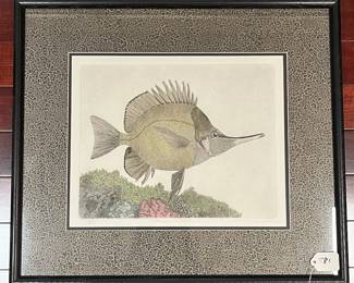 A581 - $40. Leo P. Donahue - "Forceps Butterfly Fish" Etching.  Measures 23" x 20". 