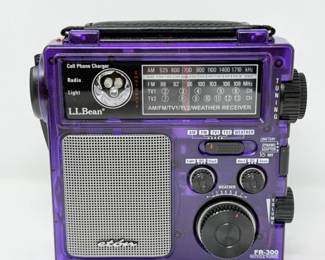 152 EtonFR300MultiPurposeAMFMRadio