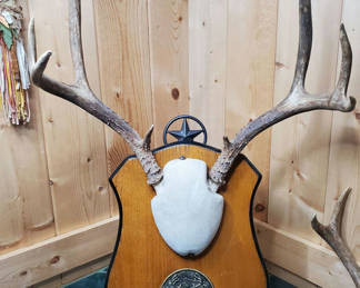Lot 31: Two Sets of Antlers.