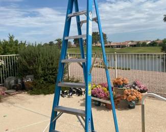 Werner 8 Fiberglass Step Ladder