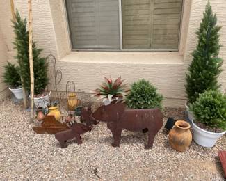 Javelina And More Front Yard Decor