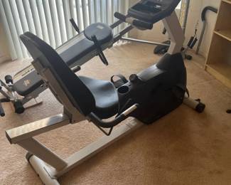 LifeSpan Exercise Bike