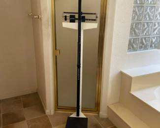Detecto Scale