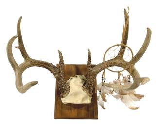 7374 - Mounted Deer Antlers w/ Dreamcatcher - 15 x 18