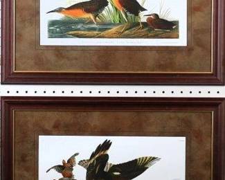 9079 - Virginia Rail/ Virginia Partridge by John J. Audub (Description): 24.5 X 19.5