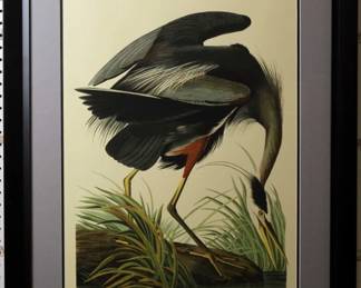 9113 - Great Blue Heron by John J. Audubon (Description): 29 X 37