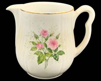 5829 - Hall's Pitcher (Description): 6 x 7