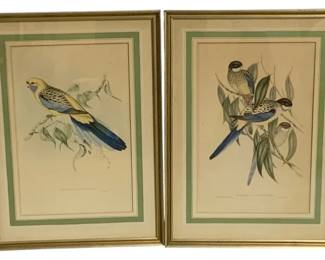 7546 - 2 Framed Bird Prints - Signed - 29 x 21