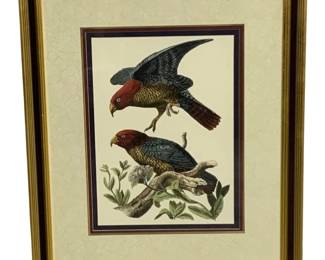 7544 - Framed Print - 34 x 28