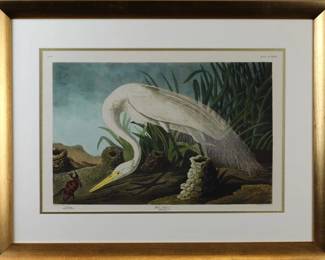 9096 - White Heron by John J Audubon (Description): 30 X 23