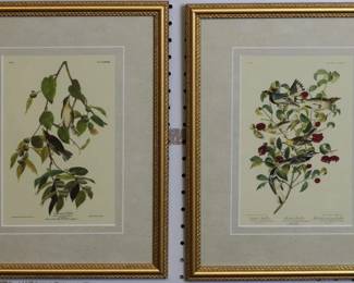 9143 - Set of 2 Antique Birds by John J Audubon (Description): 13 X 16.5